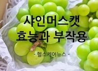 제철 맞은 샤인머스캣~~ 맛도 좋고 효능도 좋다.