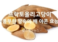 프락토올리고당이 풍부한 땅속의 배 야콘 효능