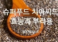 작지만 강한 슈퍼푸드 치아씨드(치아시드)  효능과 부작용