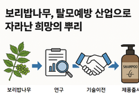 보리밥나무, 탈모예방 산업으로 자라난 희망의 근원