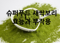슈퍼푸드 새싹보리의 효능과 부작용