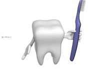 치아 건강, 5가지 올바른 관리법