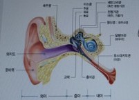 천정이 빙빙 돌고 구역질 나오는 이석증 예방할 수 있다