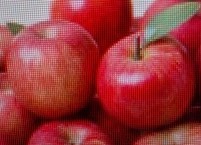 썩은 사과를 싱싱한 사과로 만드는 방법