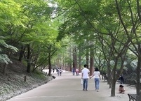 8월의 산행, 강천산