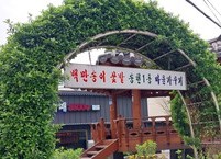 “백만 송이 꽃밭” 전주시 송천1동 마을 가꾸기