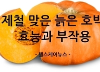 제철 맞은 늙은 호박 효능과 부작용