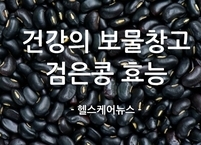 건강의 보물창고 검은콩 효능