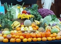 WHO가 권장하는 식품의 새로운 분류 방법