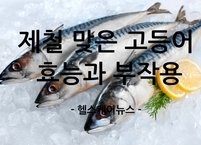 제철 맞은 고등어의 효능과 부작용