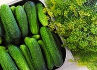 오이물의 효능과 만드는 방법