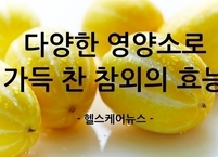 다양한 영양소로 가득 찬 참외의 비밀
