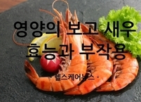 영양의 보고 ‘새우’ 효능과 부작용