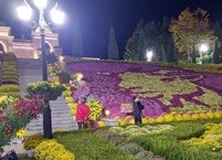 밤에 가보면 더 화려한 임실치즈테마파크 국화축제