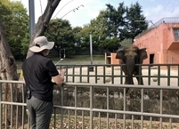 전주동물원, 동물 관람 라이브 방송 진행