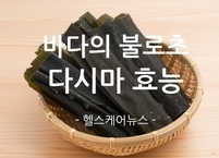 바다의 불로초 다시마 효능