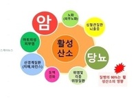 현대인이 앓고 있는 90% 질병의 주범인 활성 산소 올바른 대처 법