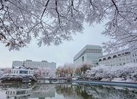 원광대 한의과대학, ‘제22회 대한한의학회 학술대상’서 수상