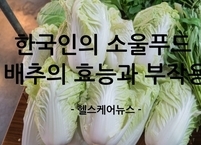 한국인의 소울푸드 배추의 효능과 부작용