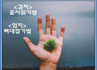 시험을 잘 보게 만드는 다섯 손가락 공부법 2