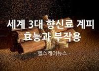 세계 3대 향신료 계피~~ 계피의 효능과 부작용