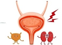 저장기능 이상 배뇨장애 종류와 증상 및 치료