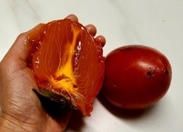 홍시의 탄닌(tannin) 성분은 무엇일까?