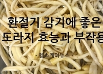 환절기 감기에 좋은 도라지 효능과 부작용