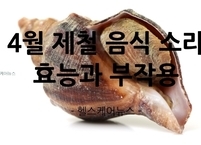 4월 제철 음식 소라 효능과 부작용