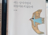 [마음 치유] 마음이 아픈 당신에게