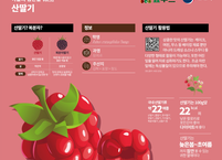 봄철 건강 지킴이 산딸기, 3월 이달의 임산물로 선정