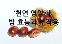 ‘천연 영양제’라 불리는 밤 효능