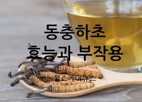 ‘노천 황금’이라 불리는 동충하초 효능과 부작용