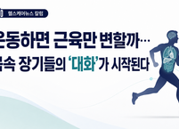 운동하면 근육만 변할까…몸속 장기들의 ‘대화’가 시작된다
