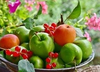 과일, 야채 껍질 영양소