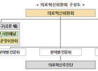 의료혁신위원회 출범, 지역·필수의료 위기 해법 모색