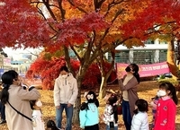 전주시, 매주 토요일 어린이 가족 프로그램 진행