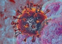 글로벌 의학 리포트 | 2025 글로벌 의학 연구의 방향을 바꾼 성과들  ③암 치료의 무게 중심 이동