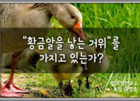 성장이 일어나는 5단계 시스템