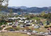 반려견과 함께하는 여행 1