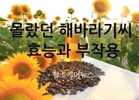 몰랐던 해바라기씨 효능과 부작용