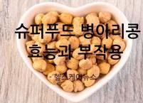 슈퍼푸드 병아리콩 효능과 부작용