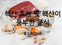 핵산 효능 및 핵산이 풍부한 음식