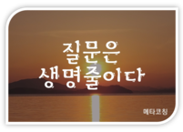 질문은 생명줄이다