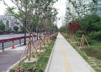 익산시, 도심 속 명품가로숲길 조성 완료