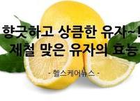 향긋하고 상큼한 유자~! 제철 맞은 유자의 효능과 부작용