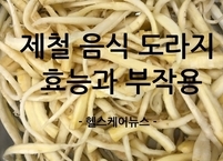 8월 제철 음식 도라지의 효능과 부작용 