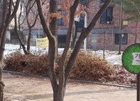 전주 부채의 본 터였던 아중리 가재미 마을