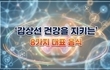갑상선 건강을 지키는 8가지 대표 음식