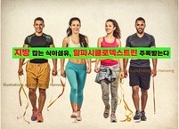알파시클로덱스트린, 지방 대사 조절에 주목받는 차세대 식이섬유